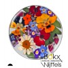 Flora mix colour insignia van My iMenso - 55092 Flora mix colour insignia van My iMenso - 55092