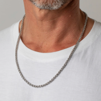 Ketting in staal van Lous 60cm 4mm - 53251 Ketting in staal van Lous 60cm 4mm - 53251