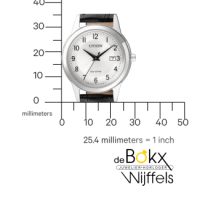 Duidelijk Citizen dames horloge FE1081-08A met lederen band - 53412 Duidelijk Citizen dames horloge FE1081-08A met lederen band - 53412