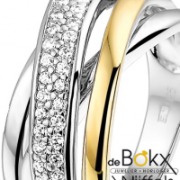 Ring van excellent zilver met geelgoud en zirkonia maat 54 - 55145 Ring van excellent zilver met geelgoud en zirkonia maat 54 - 55145