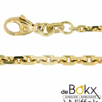 gouden ketting anker 50cm 1.3 - 56980 gouden ketting anker 50cm 1.3 - 56980