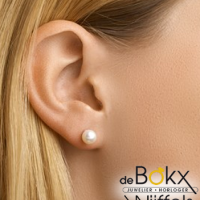 pareloorbellen geelgoud 6mm - 56120 pareloorbellen geelgoud 6mm - 56120