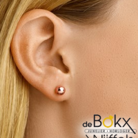 Roodgoud oorknoppen bol - 55766 Roodgoud oorknoppen bol - 55766