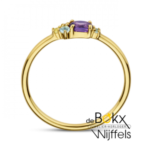 gouden ring met edelstenen maat 53 - 600009 gouden ring met edelstenen maat 53 - 600009