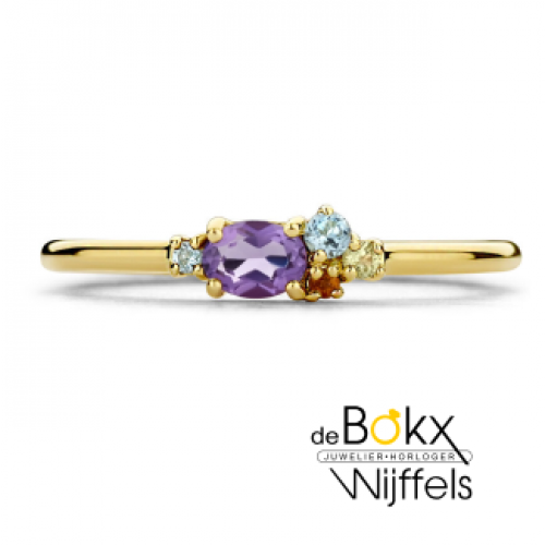 gouden ring met edelstenen maat 53 - 600009 gouden ring met edelstenen maat 53 - 600009