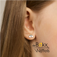 oorknoppen regenboog met wolk en emaille 6.5mm - 600024 oorknoppen regenboog met wolk en emaille 6.5mm - 600024