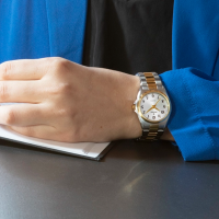 Festina horloge  2 kleuren F20556-1dames - 600128 Festina horloge  2 kleuren F20556-1dames - 600128