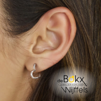 oorringen in de vorm van een hart 15mm - 600187 oorringen in de vorm van een hart 15mm - 600187