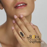 vintage gouden ring met onyx maat 54 - 600200 vintage gouden ring met onyx maat 54 - 600200