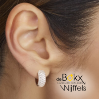 oorringen met veel zirkonia steentjes 15,5mm - 600233 oorringen met veel zirkonia steentjes 15,5mm - 600233