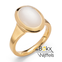 Ring Magisch Maanlicht zilver verguld met witte maansteen 54 - 600362 Ring Magisch Maanlicht zilver verguld met witte maansteen 54 - 600362