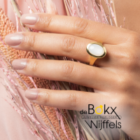 Ring Magisch Maanlicht zilver verguld met witte maansteen 54 - 600362 Ring Magisch Maanlicht zilver verguld met witte maansteen 54 - 600362