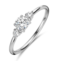 ring met zirkonia steentjes in zilver maat 56 - 600372