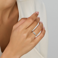 ring met zirkonia steentjes in zilver maat 56 - 600372