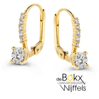 Oorhaken met veel zirkonia steentjes in geel goud - 600682 Oorhaken met veel zirkonia steentjes in geel goud - 600682