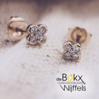 Oorstekers geelgoud met diamant 0,12crt - 600686 Oorstekers geelgoud met diamant 0,12crt - 600686