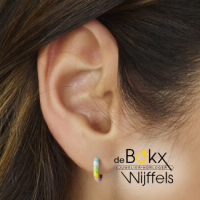 oorringen zilver met gekleurde maille - 600701 oorringen zilver met gekleurde maille - 600701