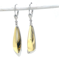 lange oorhangers in zilver met goud kleur - 600848