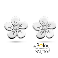 bloemetjes oorknoppen zilver - 600856 bloemetjes oorknoppen zilver - 600856