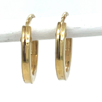 kleine oorringen geel goud recht model - 600903 kleine oorringen geel goud recht model - 600903