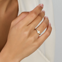 gouden trilogie ring met zirkonia maat 51 - 601187