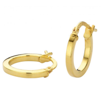 gouden oorringen vierkante buis met zilveren kern Fjory oorring 10mm - 601222