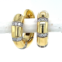 oorringen met zirkonia14 karaat goud - 601253 oorringen met zirkonia14 karaat goud - 601253