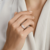 dames ring zilver met veel zirkonia maat 52 - 601277