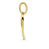 hartjes hanger met  zirkonia steentjes in goud - 601307
