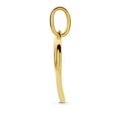 hartjes hanger met  zirkonia steentjes in goud - 601307
